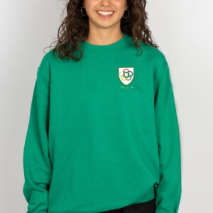 1070-20 Sudadera de entrenar