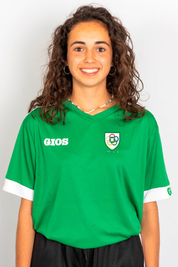 699-22602 Camiseta verde con escudo